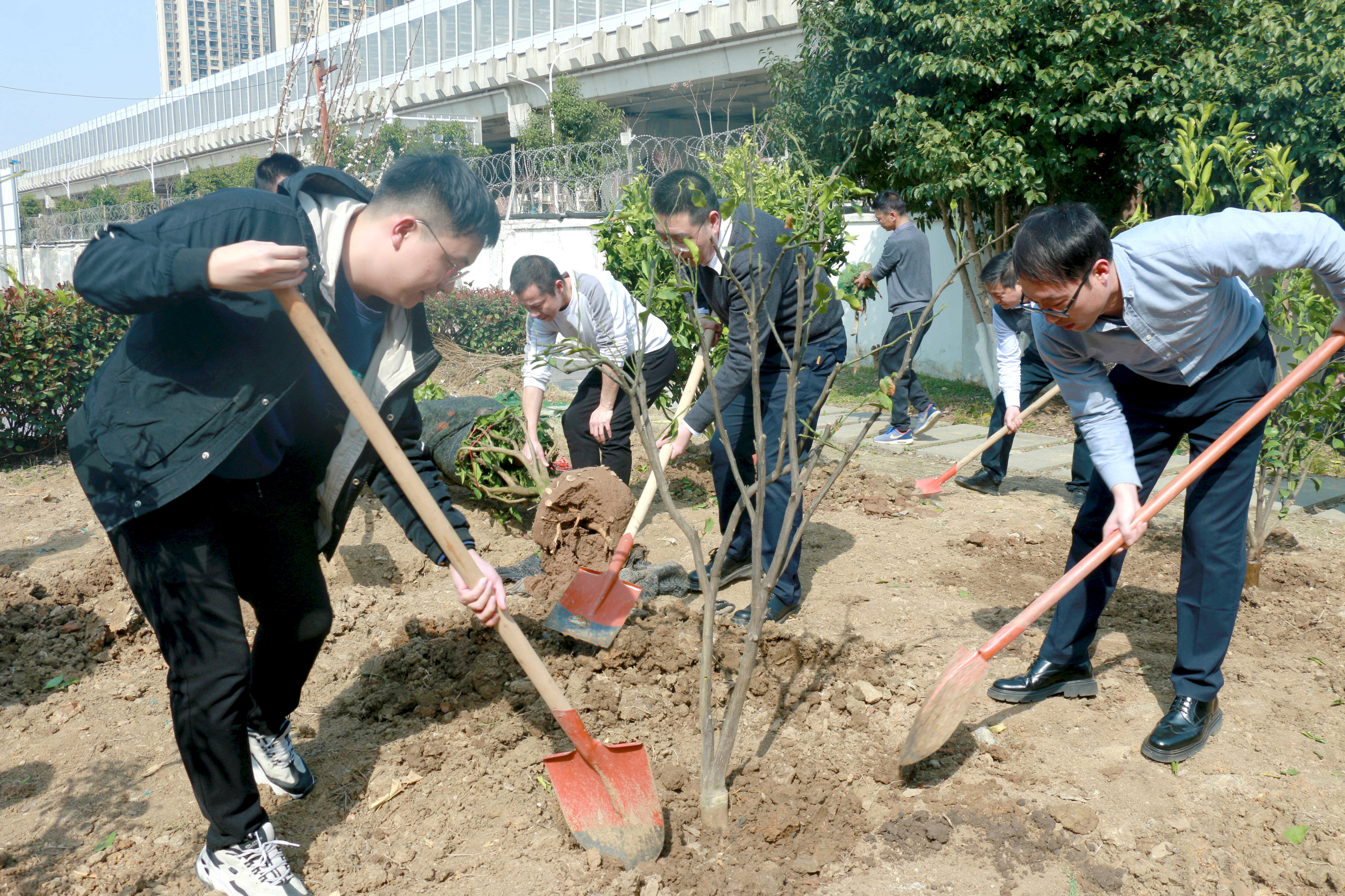 港澳宝奥苹果手机